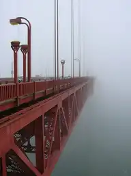 11736