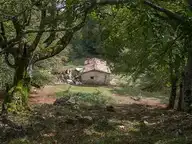 117626
