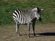 117935