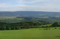 117965