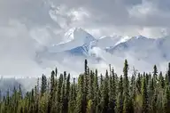 11834