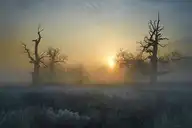 11841