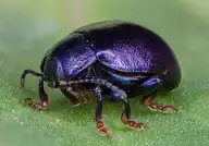 118735