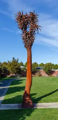 11926