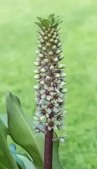 120054