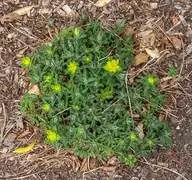 120233