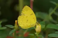 120330