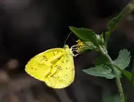 120332