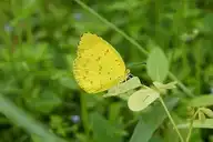 120335