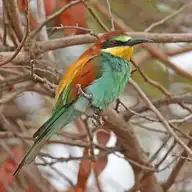 120422