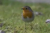 120479