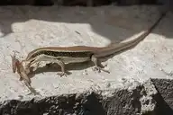 120601