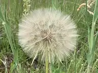 120895