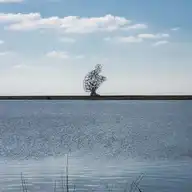 120956