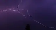 12186
