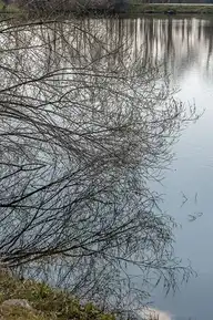 122806