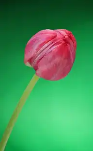 12293