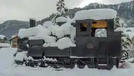 123537
