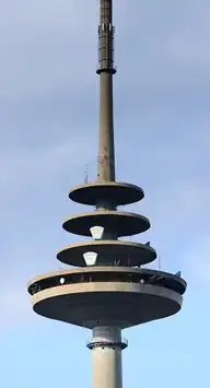 123761