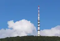 123770