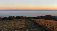123802