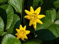 124410