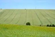 124486
