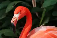 125533