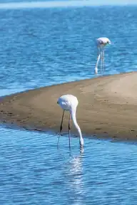 125546