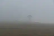 126248