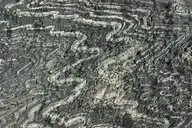 126290