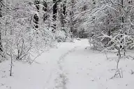 127119