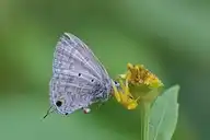 127152