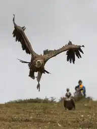 12730