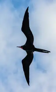 128086