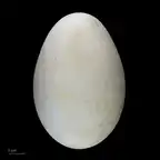 128948