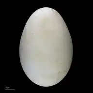 128948