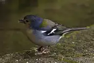 129785