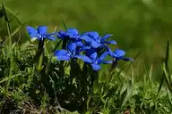 130065