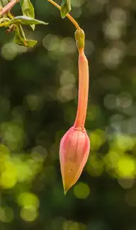 130173