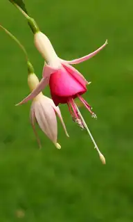 130203