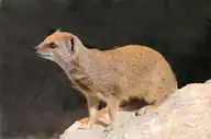 130236
