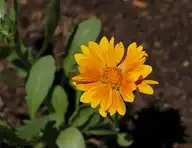 131047