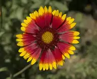 131050