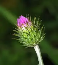 131087