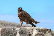 131097