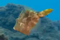 131289