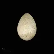 131922