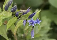 133082