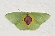 133139